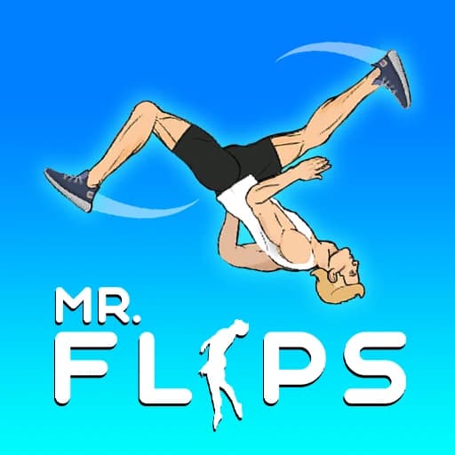 Mr Flip game preview